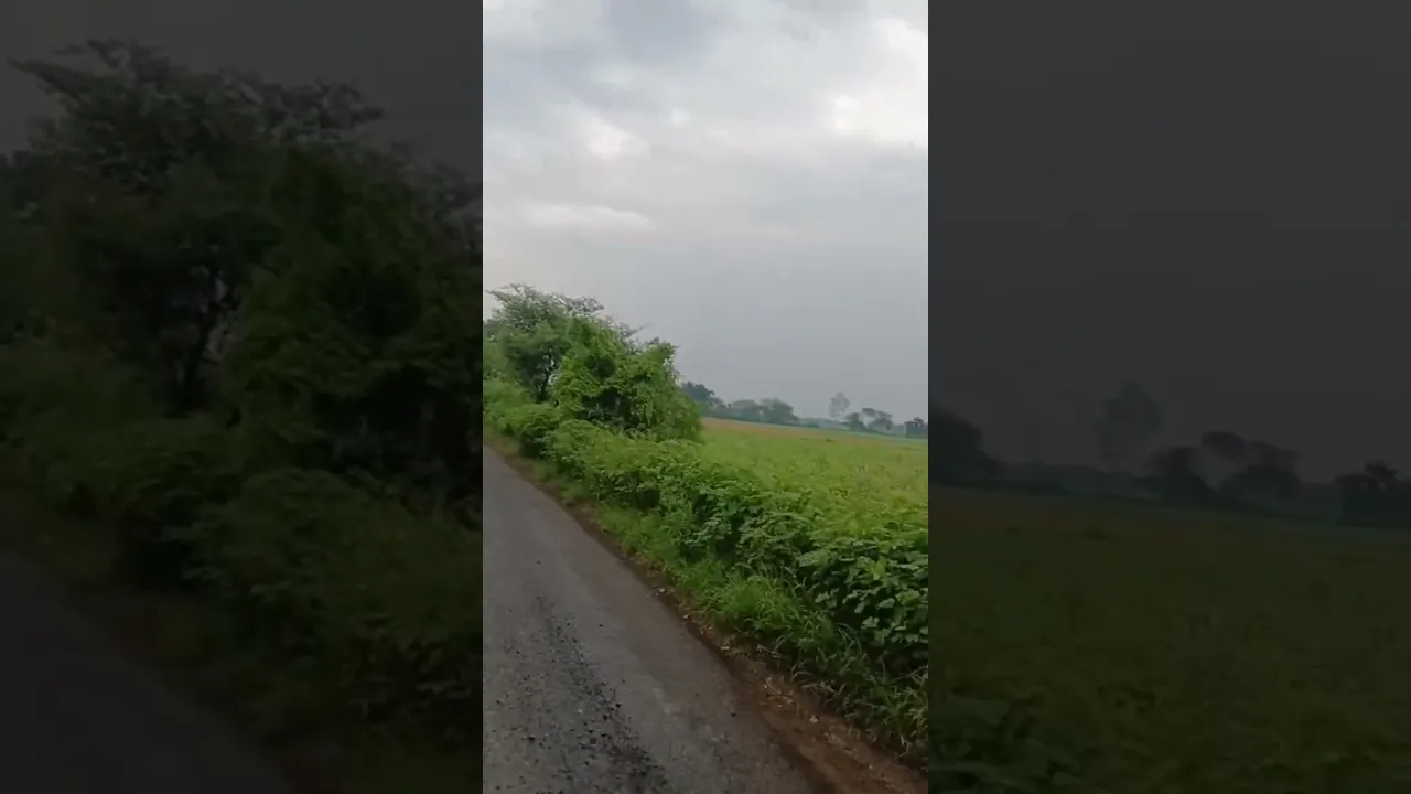 Agriculture land