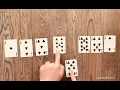 Quick Demonstration of Insertion Sort Algorithm - Applying it to Sort Cards