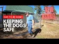 Putting Up A 10x20 Kennel Off Screen Patio For New Dogs