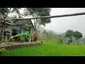 Download Lagu Hidup Di Kampung !! Suasana Hujan Di Kampung Pinggir Sawah Makin Adem !! Vlog Kampung Terpencil 🌧️🌧️