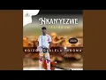 Download Lagu Ngizonidlalela ingoma
