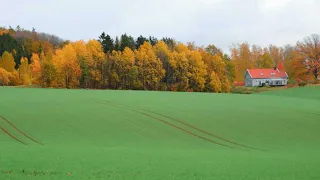 توك لت في رزقي على الله خالقي نشيد ديني الكلمات 