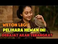 Lagu WETON LEGI KUDU NGERTI ‼️ 7 Hewan Pembawa Rezeki Dan Pengangkat Derajat