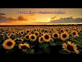 Download Lagu Kuzu Mellow - Sunflower feelings (432Hz)