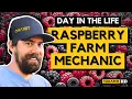 How They Harvest At A Berry Farm - Day in the Life of a Farm Mechanic