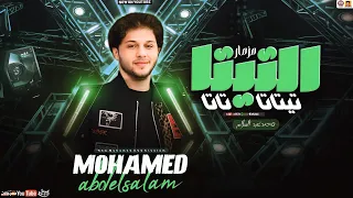 مزمار التيتا تاتا تاتا تاتا   تريند        محمد عبدالسلام دندنها