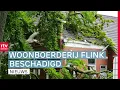 Download Lagu Boom knakt en belandt op huis \u0026 middenstip  FC Emmen heeft een nieuwe bestemming | RTV Drenthe
