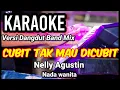 Download Lagu CUBIT TAK MAU DICUBIT - Nelly Agustin | Karaoke dut band mix nada wanita | Lirik