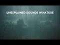 Lagu SUARA-SUARA YANG TAK TERJELASKAN Terdengar di Alam