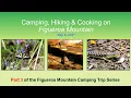 Figueroa Mountain Camping Trip May 7-8 2021 3 of 3