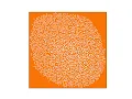 Advent of Code 2022 Day 23 - Unstable Diffusion Visualisation