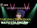 Download Lagu WAYU COLONGAN ||DIAN ANIC||COVER SELLYSANUSI ||LAGU TARLING CIREBONAN ||TARLING TERBARU
