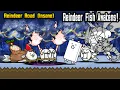 Battle Cats - Reindeer Road Expert Insane Guide No Eraser Needed Reindeer Fish Awakens