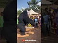 Download Lagu Unbelievable Giant Gorilla. Ilusión 😱 How Did It Come to Life? #magic #mistery #viralvideo #gorilla