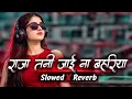 A Raja Tani Jai Na Bahariya ❤️ | Rakesh MishraSlowed + Reverb | Bhojpuri LoFi