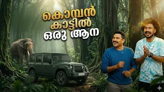 കൊമ്പൻ കാട്ടിൽ ഒരആന 