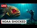 6 MINUTES AGO NOAA s Deep-Sea Camera Just Caught Something You ve Never Heard Of