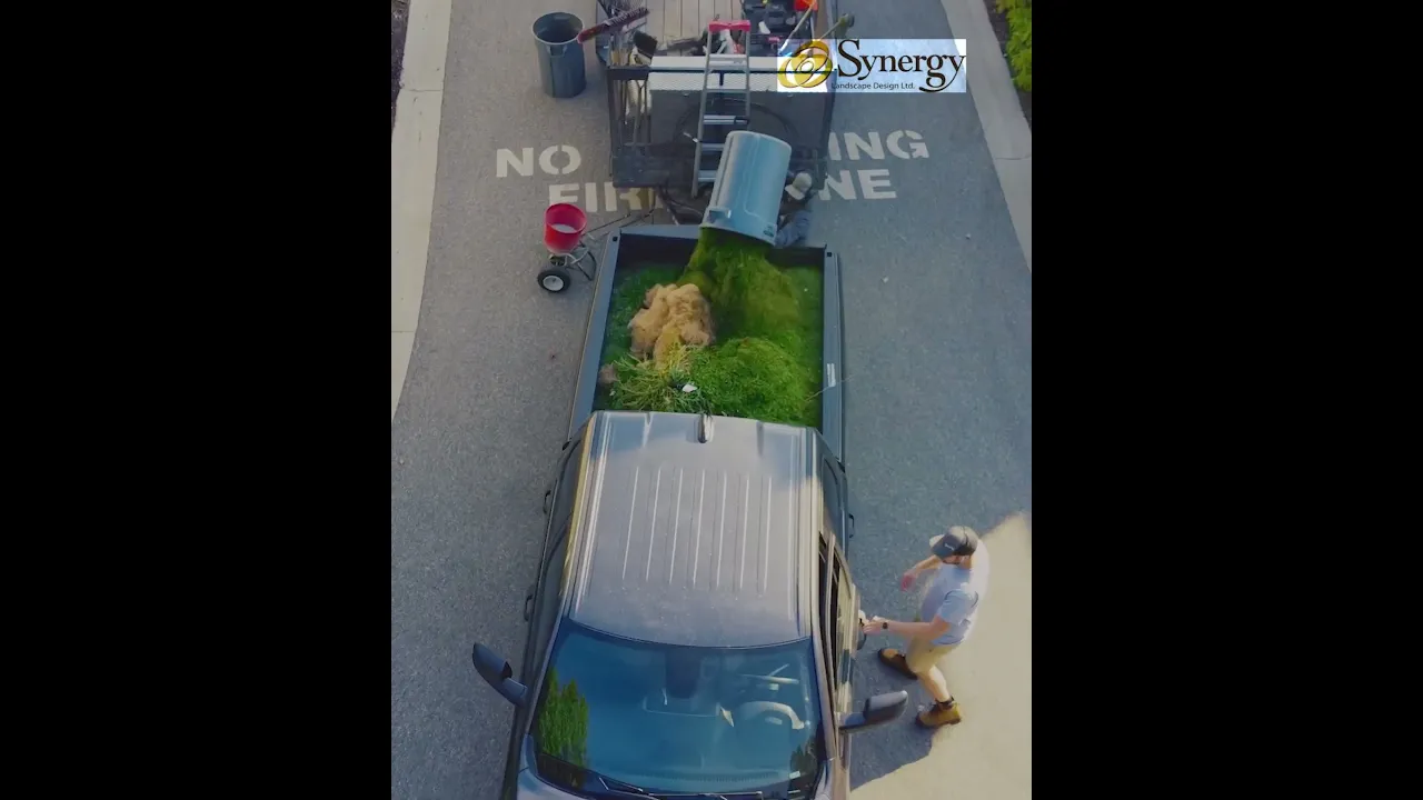 pool patrol pool covers