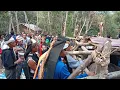 Download Lagu Upacara WARA Hindu Kaharingan Suku Dayak BARITO di Pedalaman Kalimantan.