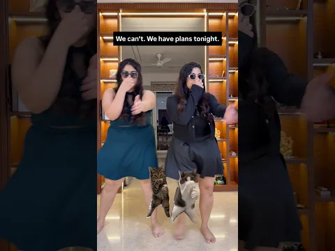 Viral CAT DANCE Trend! #viraltrend #funnydance #thakursisters