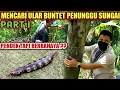 SEARCHING FOR BUNTET THE SNAKE , THE CIANJUR RIVER HABITANT| PART 1
