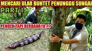 Download PENCARIAN ULAR BUNTET PENGHUNI SUNGAI DI CIANJUR | PART 1 MP3