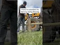 Download Lagu I have to subsidise my farm by doing fencing