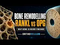 Bone Remodelling BMU RANKL Axis Modelling vs Remodelling Explained