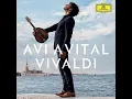 Vivaldi: Mandolin Concerto in C Major, RV 425: I. Allegro