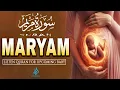 Lagu Surah Maryam 💖 | The Miracle of Creation | Baby in Mother’s Womb | Heart Touching Recitation