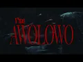 Fido - Awolowo ( Visualizer )