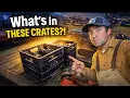 These Crates were LOADED with Rare Items Amazing Auction Buys