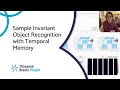 - Sample Invariant Object Recognition with Temporal Memory