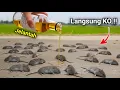 Download Lagu Deze slimme manier om muizen te vangen bespaart je geld! Briljant idee