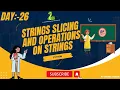 Python Strings Slicing and Operations on Strings Basic Programs Day -26 2024