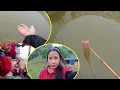 Download Lagu Nati's small fish pond \u0026 baby fishes II UNISHA is not well