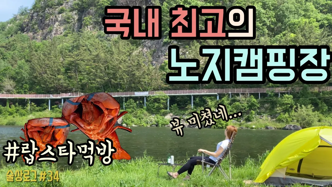 [술상로그] 캠핑VLOG | 국내 최고의 노지캠핑장에서 랍스타 먹방! 무료 야영장 금산 기러기공원, 우당탕탕 낚시 도전기 | Camping, Robster Mukbang サムネイル