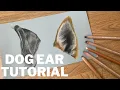 Realistic Dog Ear Tutorial - Learn to Draw Dog Ears Using Pastel Pencils on Pastelmat