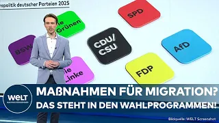 BUNDESTAGSWAHL: Krisenthema Migration! Was die Parteien laut Wahlprogramm dagegen unternehmen
