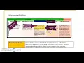 Standards Lesson Plan