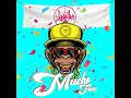 Download Lagu Ilegales - Mucho Flow (Audio)