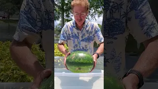 Let s Do a FUN Experiment Jack Hartmann