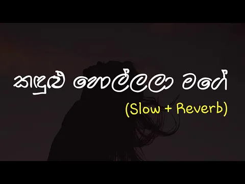 Download MP3 Kandulu Hollala Mage (කඳුළු හොල්ලලා මගේ) Slow + Reverb