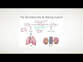 Homeostatic Imbalances