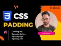 CSS padding Lecture-6 CSS in Hindi Web development in Hindi full stack development in Hindi