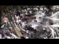 Download Lagu Shingeki no Kyojin: Attack On Titan FULL Opening Theme - Linked Horizon - Jiyuu No Tsubasa