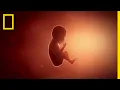 Download Lagu Pregnancy 101 | National Geographic