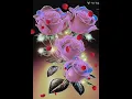 beautiful rose flowers and amazing picture