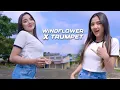 Download Lagu DJ WINDFLOWER X TRUMPET ENAKBANGET BUAT CEK SOUND