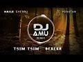 Download Lagu DJ Amu_ tsim tsim berka _ remix_2025_Eritrean_club music